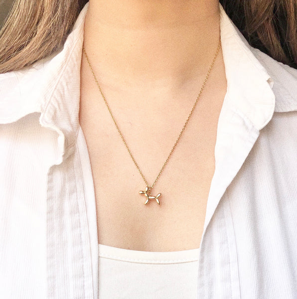 Collar perrito de globo.